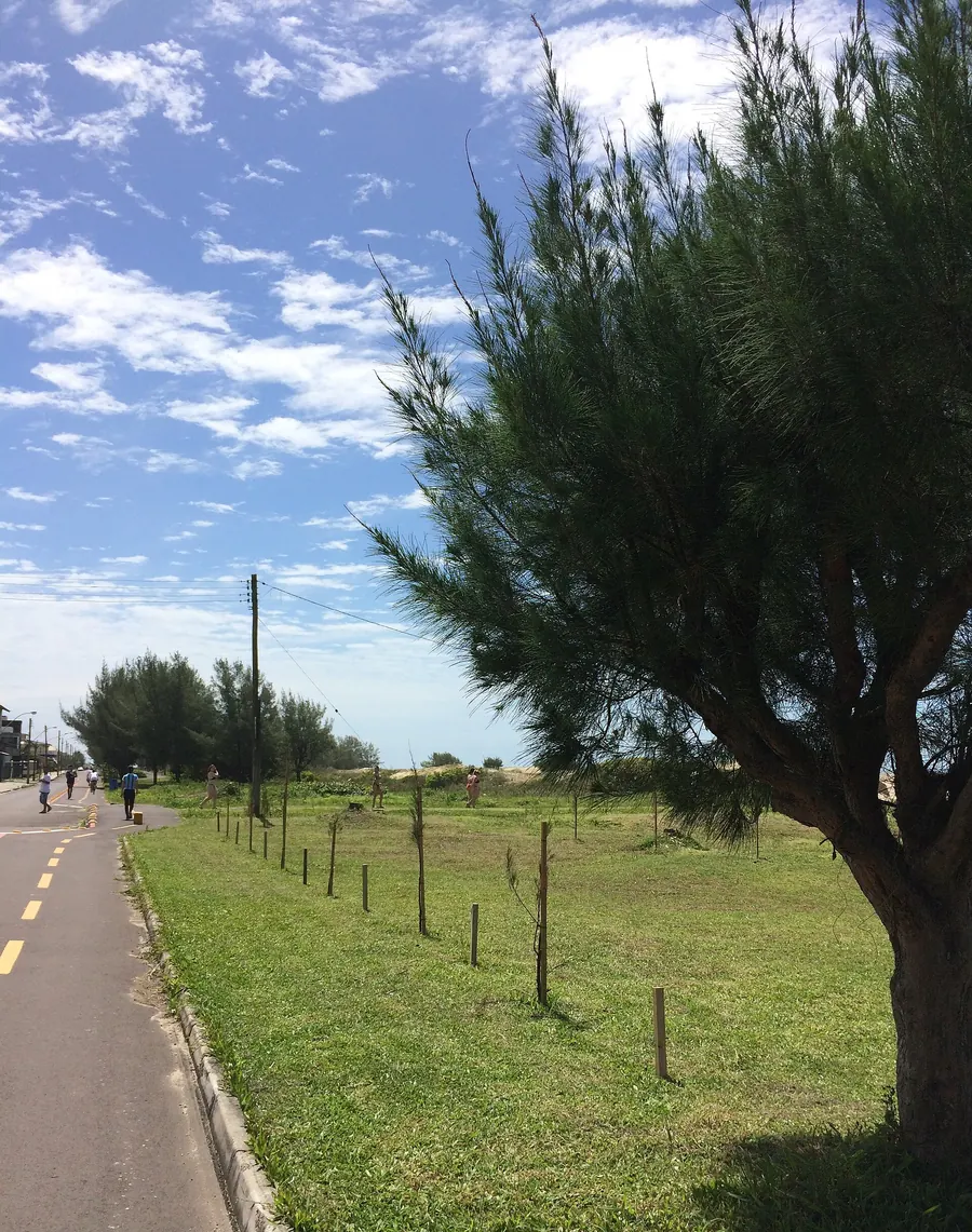 Ciclovia ao lado de área gramada e árvores, em Arroio do Sal